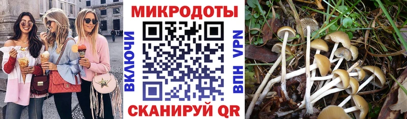 hydra онион  Орехово-Зуево  Псилоцибиновые грибы прущие грибы 